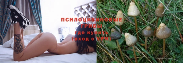 гидра Переславль-Залесский