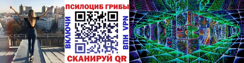 дарнет шоп  Усмань  Псилоцибиновые грибы ЛСД 