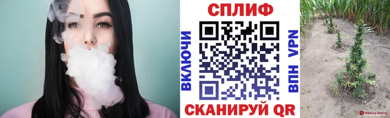 Бошки Шишки MAZAR  дарнет шоп  Усмань 